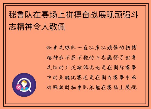 秘鲁队在赛场上拼搏奋战展现顽强斗志精神令人敬佩